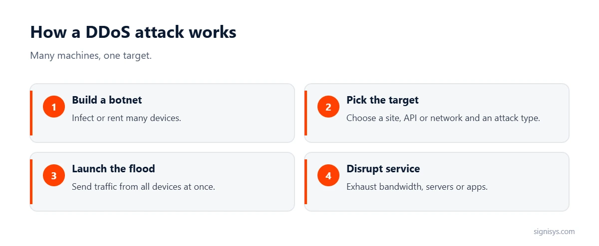 How a DDoS attack works: build a botnet, pick the target, launch the flood and disrupt service